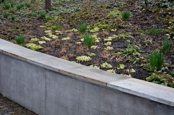 Concrete Wall Construction in Olympia