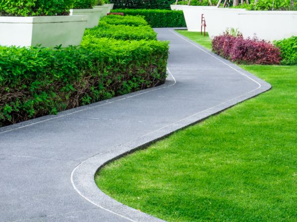 Walkway Curb Installation in Olympia