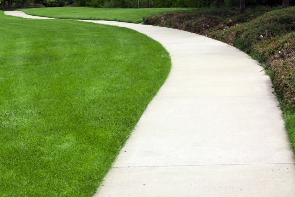Pathway Construction in Olympia