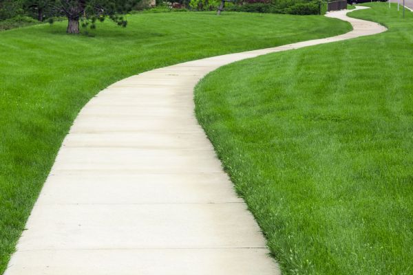 Pathway Replacement in Olympia