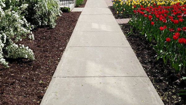 Sidewalk Slab Replacement in Olympia