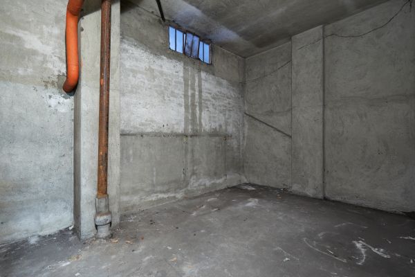 Basement Wall Construction in Olympia