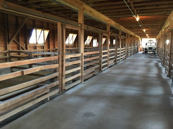 Barn Floor Pouring in Olympia