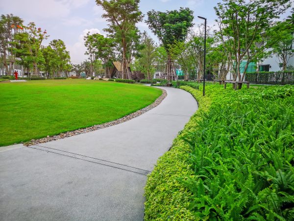 Cement Walkway Service in Olympia