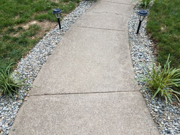Cement Path Construction in Olympia