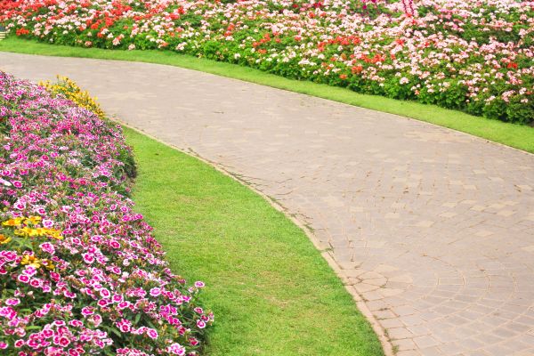 Concrete Walkway Service in Olympia
