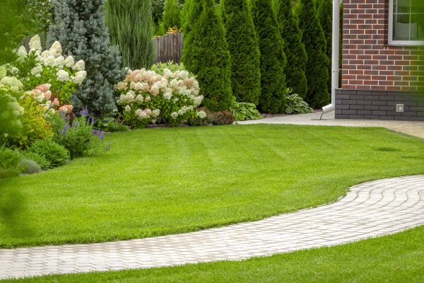 Landscape Walkway Installation in Olympia